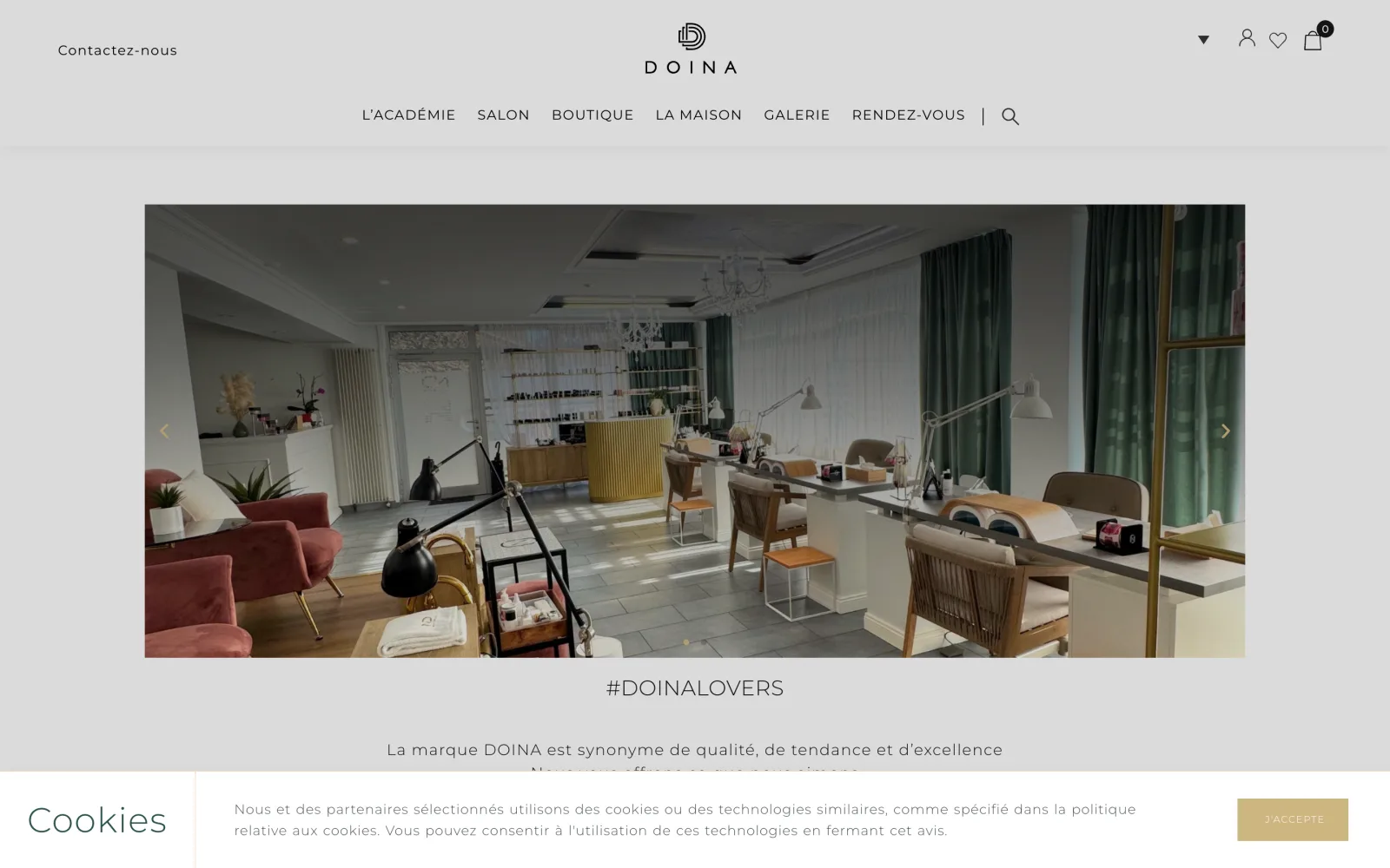 La page d'accueil du site Doina